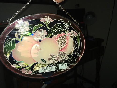 Stained Glass Window Art Hand Painted Fruit Flower Seeds Leafs Suncatcher