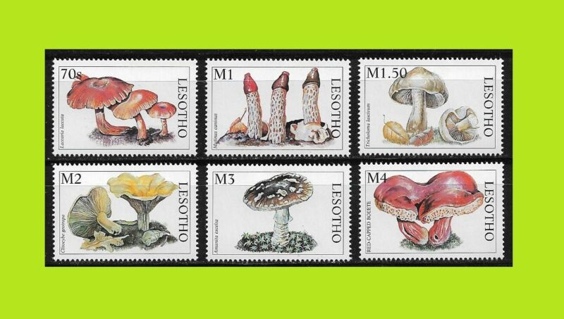 Lesotho 1998 Mushrooms - Complet Series 6 Stamps - MNH