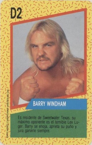1991 Cromy WCW - Barry Windham #D2