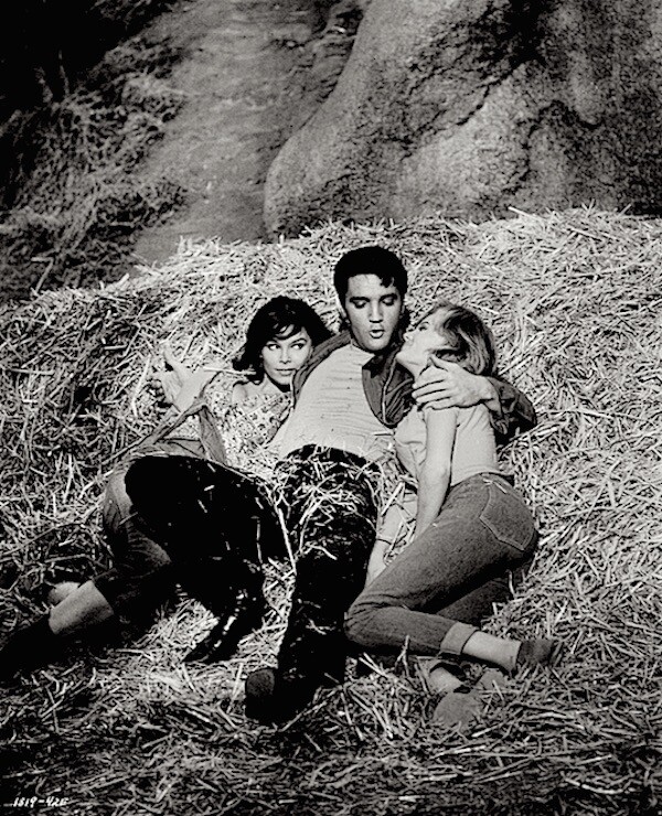 Elvis Presley 1964 Vintage Press Photo Kissin Cousins Yvonne Craig