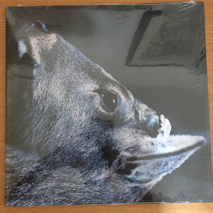 【LP】toe / The Book About My Idle Plot... Topshelf Records - toe - the book about my idle plot on a