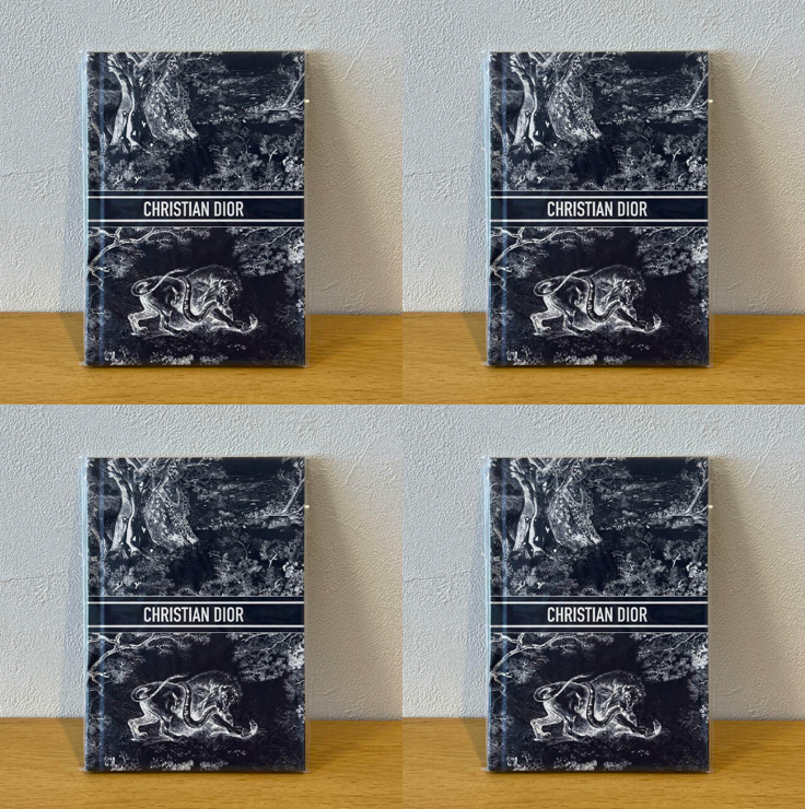 Dior novelty Notebook Set of 4 CHRISTIAN DIOR 13×18×1cm