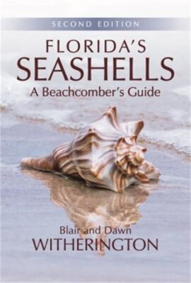 Florida's Seashells: A Beachcomber's Guide (Paperback or Softback)