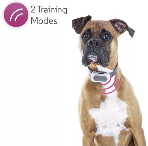 Motorola Wireless Fence 25 Rechargeable Battery for Pets over 20 lbs.Home/Travel