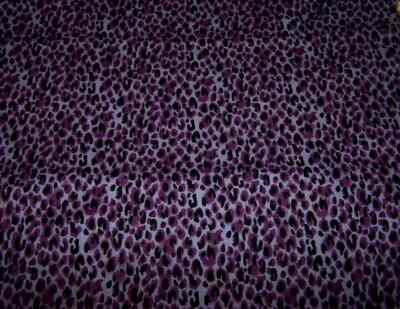 Wet Nose Designs BIG KITTY CAT COLLAR 5/8'' Wide Wild Thing Cheetah on Purple