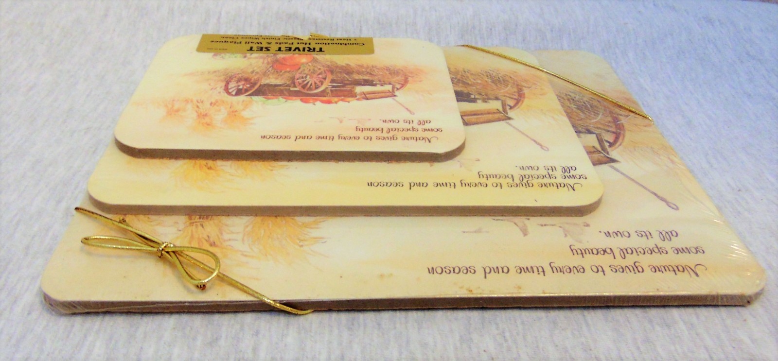 Set of 3 Trivet Different Sizes Fall Harvest Made in USA Cork Back