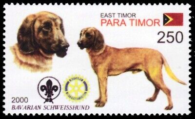 TIMOR LESTE 2001g - Dogs of the World ''Bavarian Schweisshund'' (pb74131+)