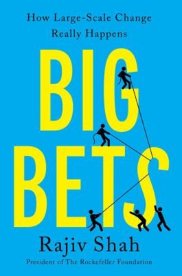 Big Bets : How Large-Scale Change Really Happens Hardcover Rajiv