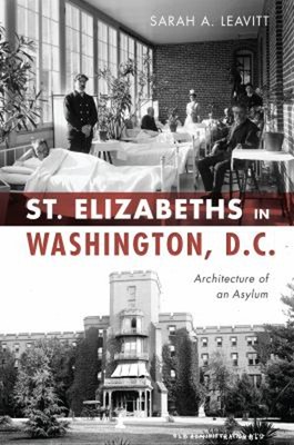 St Elizabeths in Washington, D. C. : Architecture of an Asylum Sa