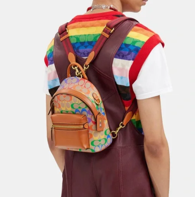 Pre-owned Coach Charter Backpack 18 Small Brown Leather Rainbow Signature Canvas Org Pkg