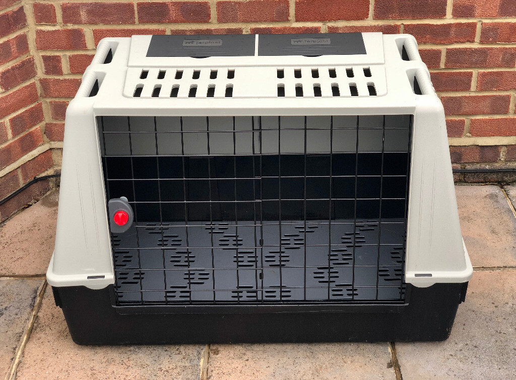 as-new-large-dog-travel-carrier-box-in-great-condition-in-boreham