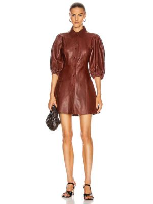 Ganni leather hotsell mini dress