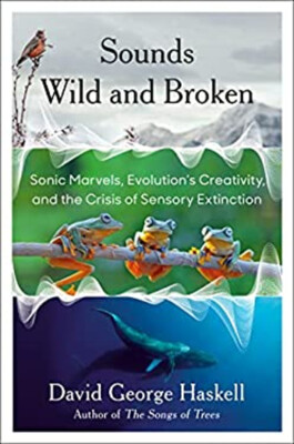 Sounds Wild and Broken : Sonic Marvels, Evolution's Creativity, a