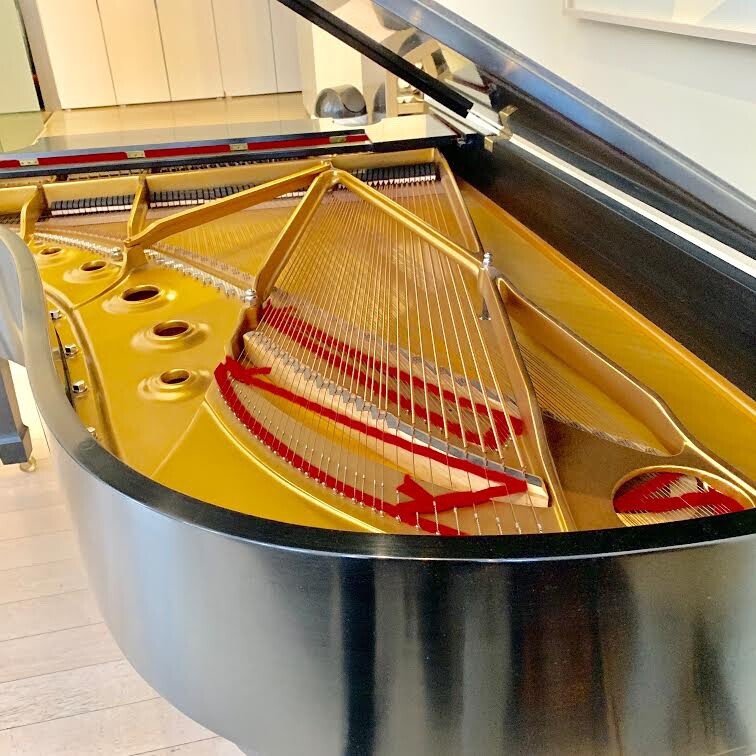 2010 Steinway Model B Grand Piano | Ebony