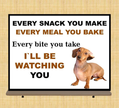 Funny  Dachshund Dog metal wall sign every snack  kitchen dog lovers plaque