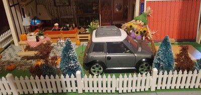 Foto dell'oggetto di un acquirente verificato