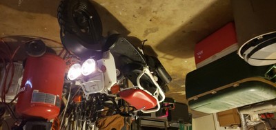 Honda Ruckus