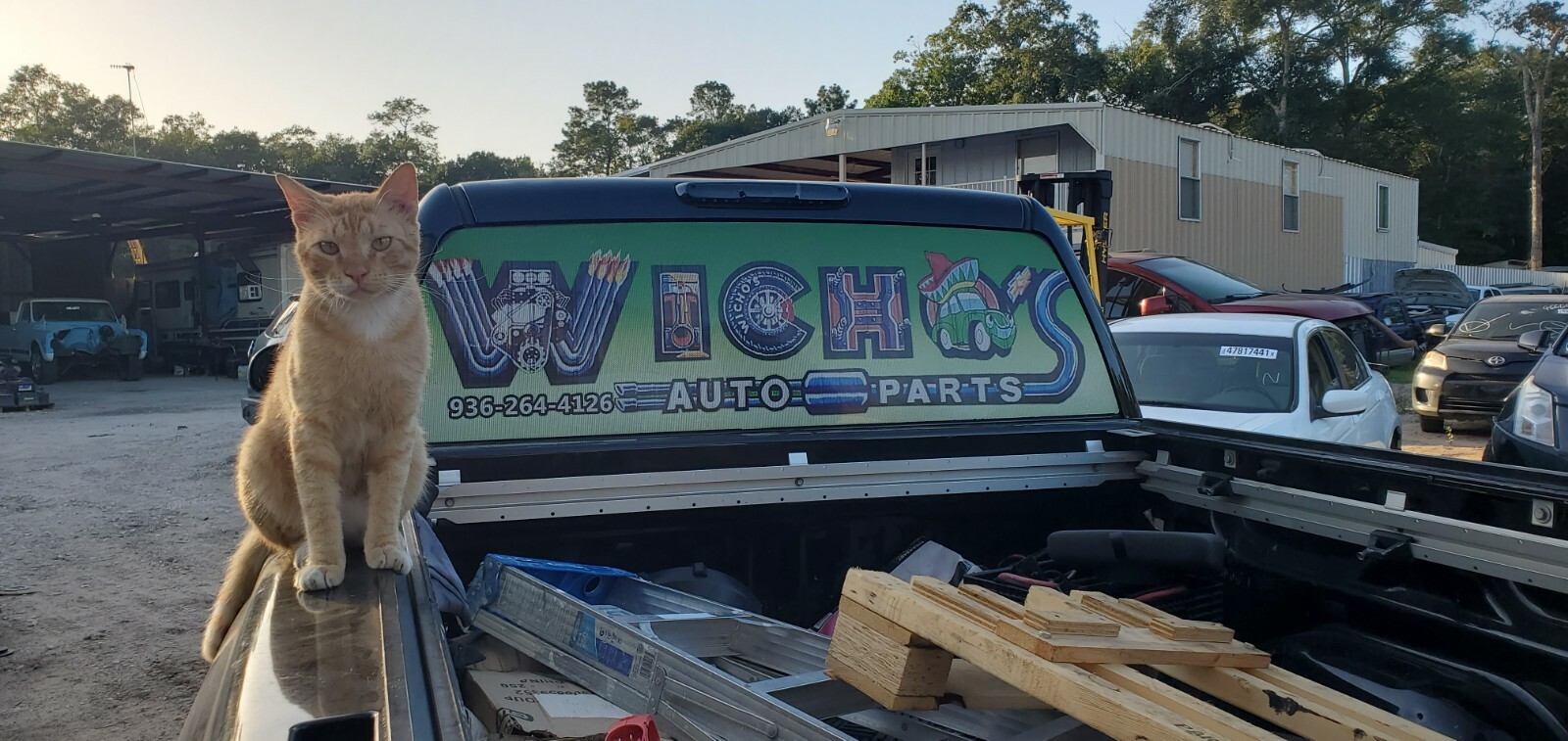 09,10,11,12 DODGE RAM 1500 RADIO ANTENNA SATELLITE Ident