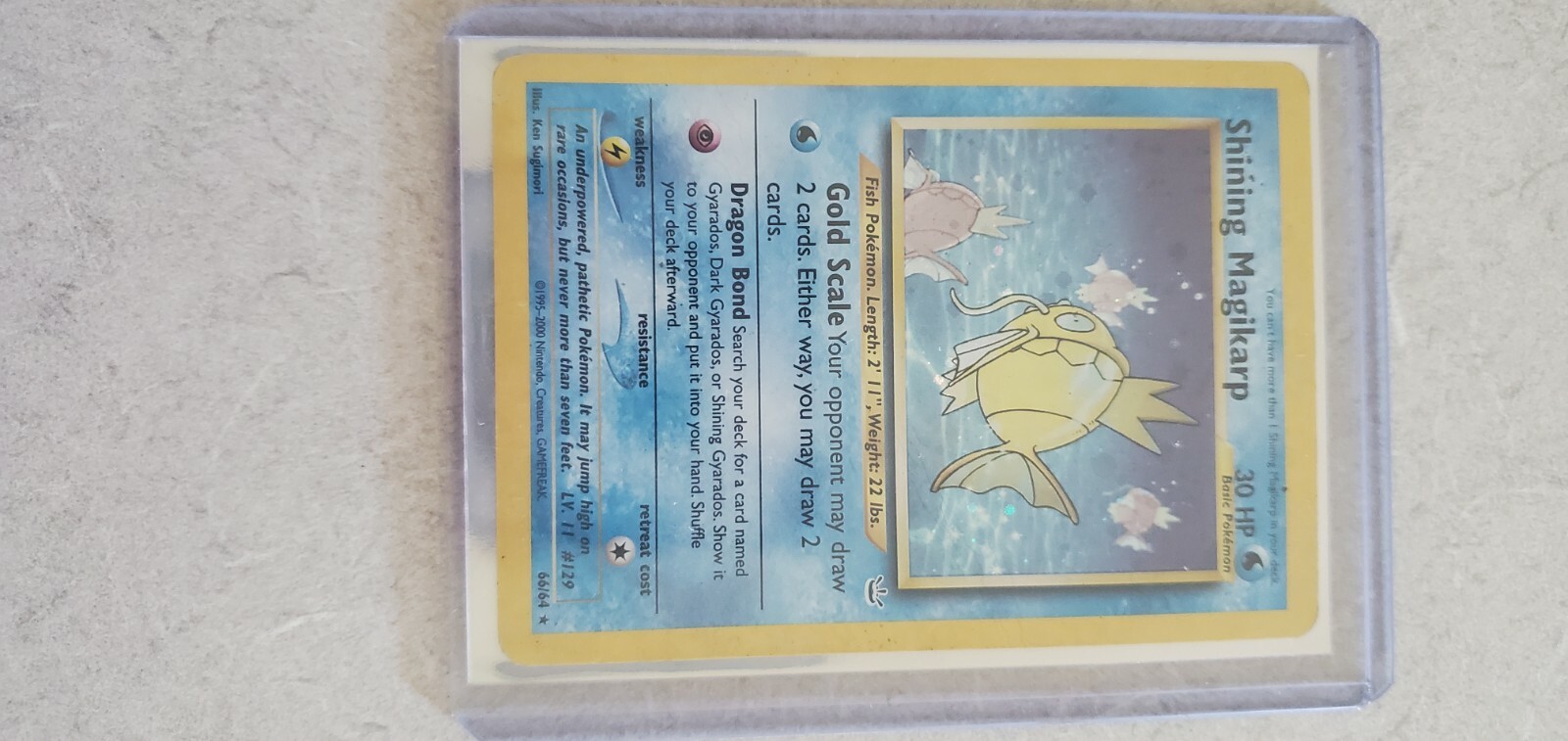ポケモンカードゲーム　Shining Magikarp　英語版　1ed Shining Magikarp - 66/64 - Shiny Holo Rare NM, English