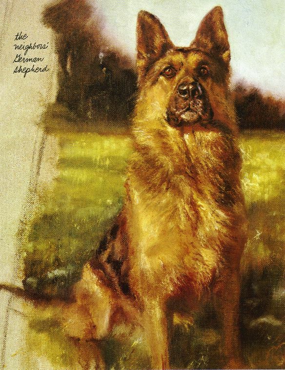 German Shepherd - Vintage Dog Art Print ...