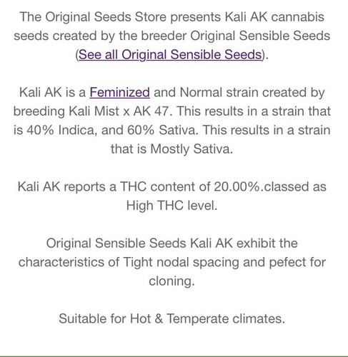 1X Original Sensible Kali AK Feminized Hemp Seed Rare Medical Hybrid 20% 60/40