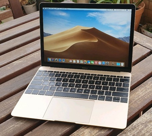 Apple 12