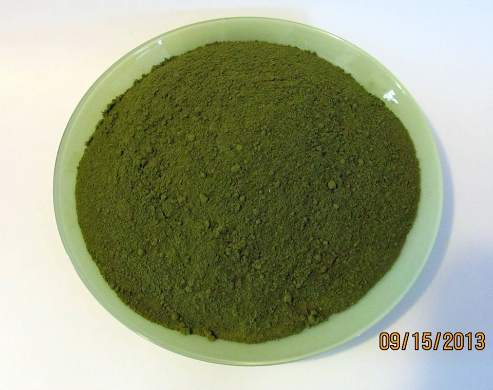 Wholesale Moringa Oleifera Leaf Capsules NON GMO - MADE FRESH ON DEMAND!