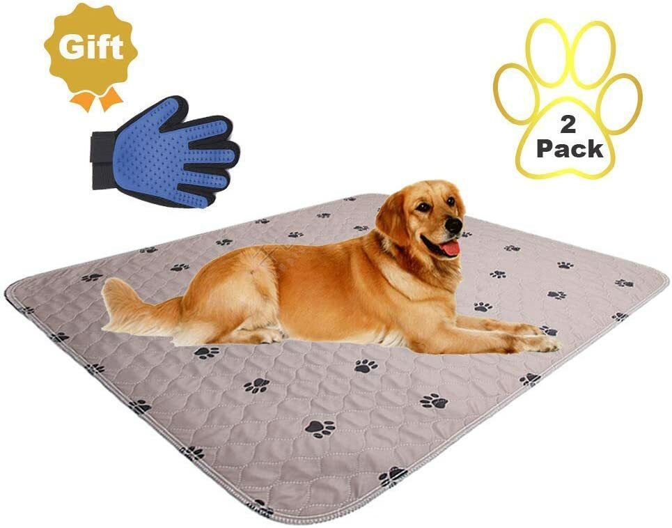 Sincopet réutilisable Pee Pad + Gratuit Puppy Toilettage Gants/matelassé,
