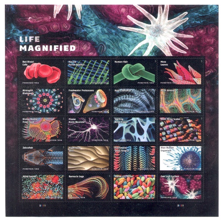 2023 U.S. COMMEMORATIVE-DEFINITIVE YEAR SET *134 STAMPS* WITH 3 SHEETS MINT-NH