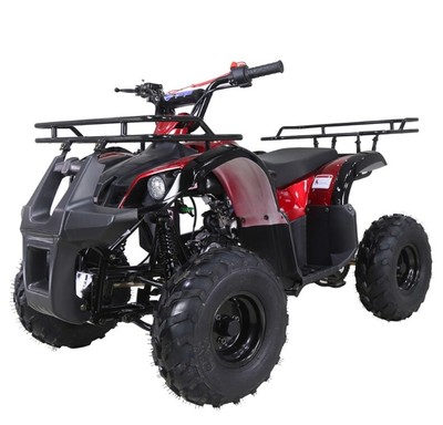 ATV 125cc Youth ATV TAOTAO 125D Utility Quad Kids 4 wheeler FREE SHIP 125CC ATV