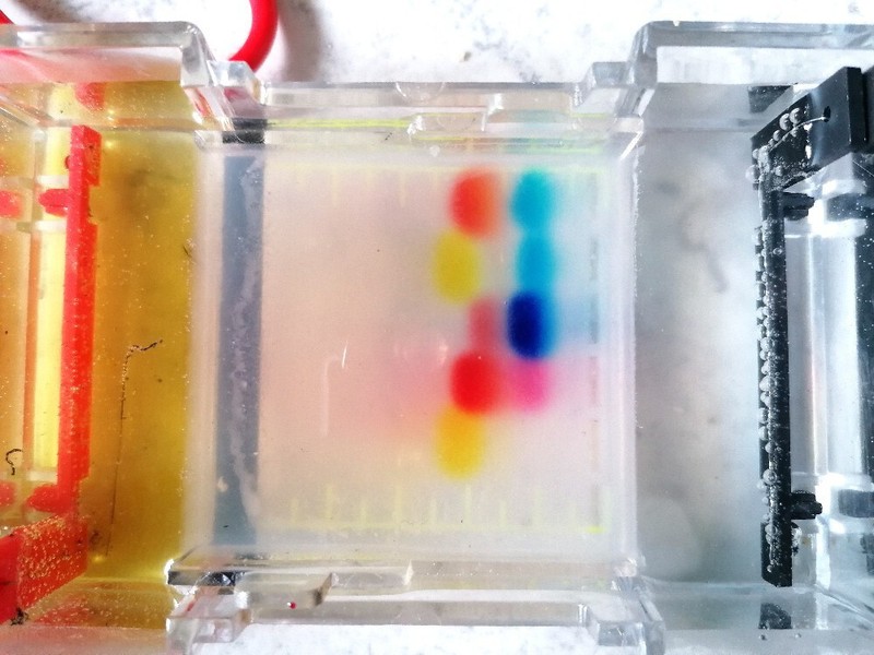 Gel Electrophoresis Kit For Stem-Project - Gelelektrophorese-Kit FÃ¼R Schule