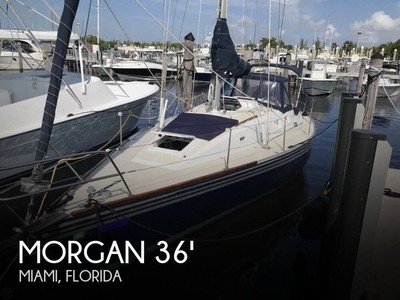 1984 Morgan Nelson/Marek 36 Used