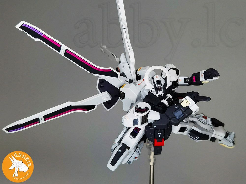 TP アヌビス hobbynotoriko's Full Detailed REVIEW: RIOBOT Zone Of The