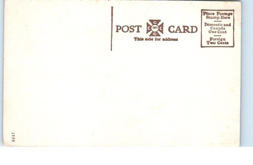 Carnegie Library Lyons Kansas Unposted -Postcard