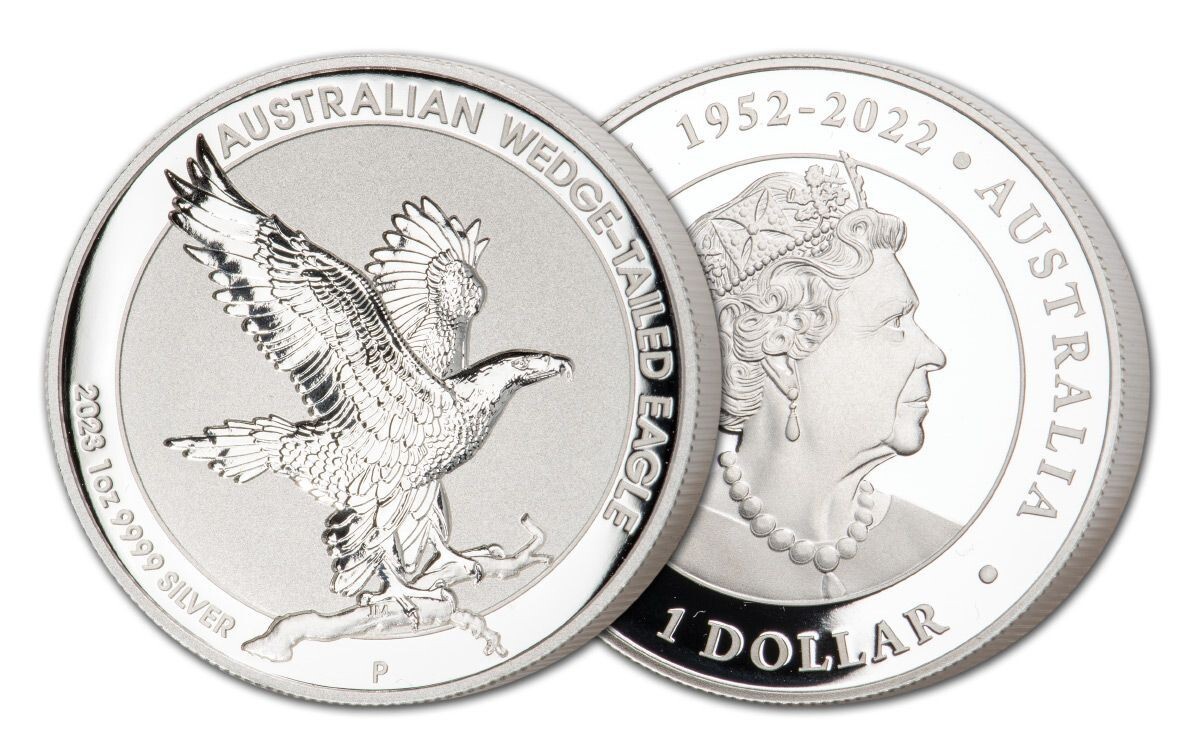2015年オーストラリアクロコダイル1onシルバー $_57.JPG?set_id=880000500F