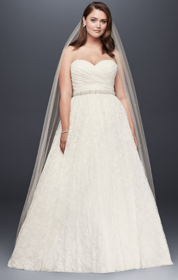 David's bridal plus on sale size