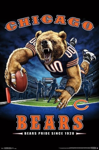 bears  Chicago Bears BEARS PRIDE SINCE 1920 End Zone TD Dive NFL