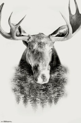 MOOSE - TREE COLLAGE POSTER - 22x34 - NATURE ART 17592