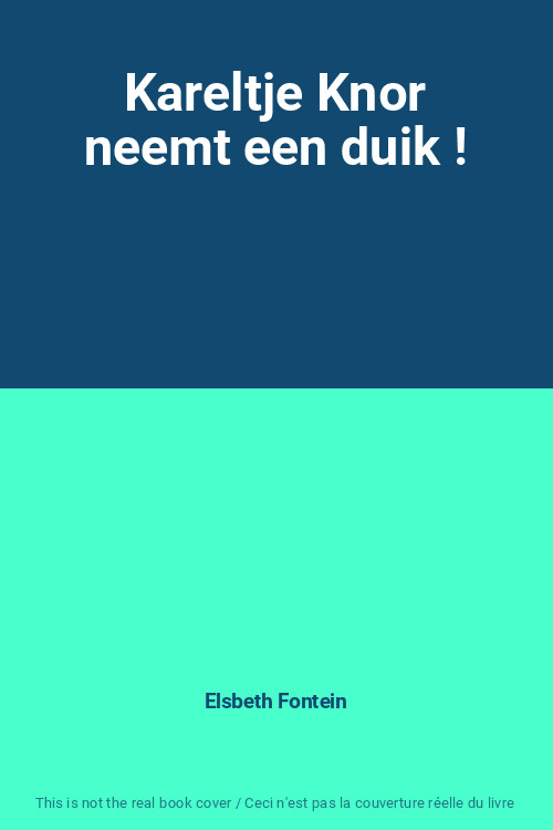 Kareltje Knor Neemt Een Duik !, Elsbeth Fontein