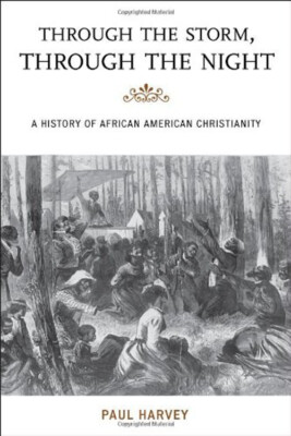 Through the Storm, Through the Night : A History of African Ameri