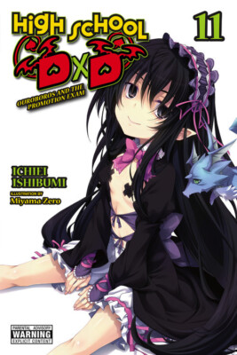 Средняя школа DxD, Том. 11 (легкий роман)