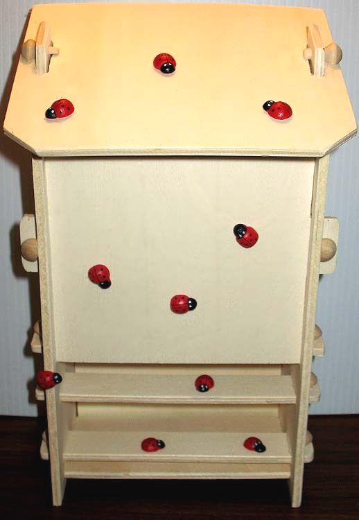DIY WOOD ASSEMBLY KIT Lady Bug House Fun Easy Project