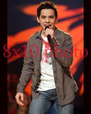 DAVID ARCHULETA #2,american idol,crush,something bout love,8X10 PHOTO