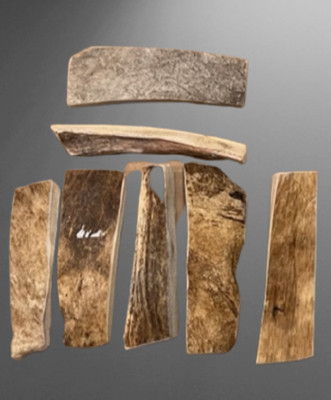 MOOSE Antlers Dog Chews Treats Naturally Shed USA ''like'' elk deer 6-7'' long LOT