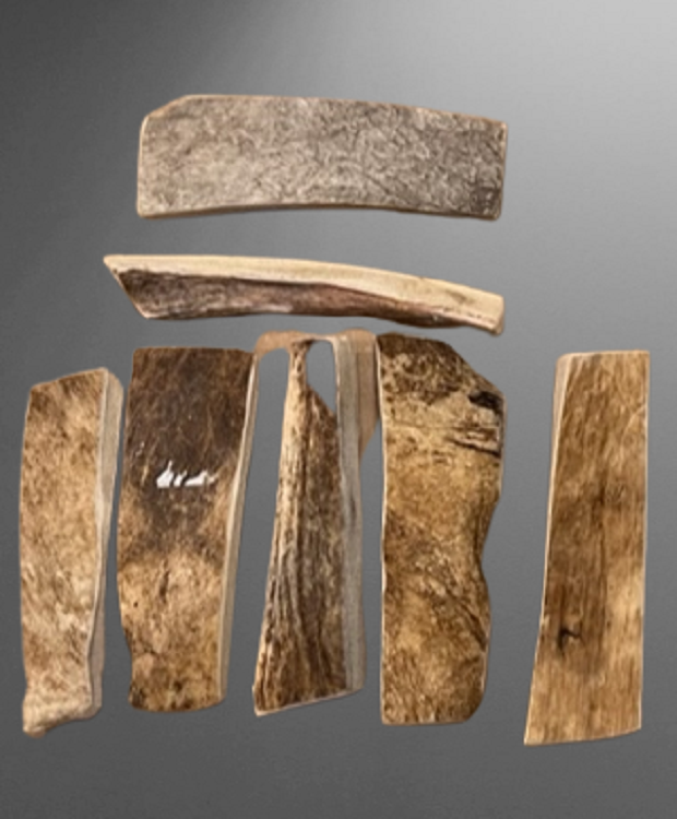 MOOSE Antlers Dog Chews Treats Naturally Shed USA "like" elk deer 6-7" long LOT