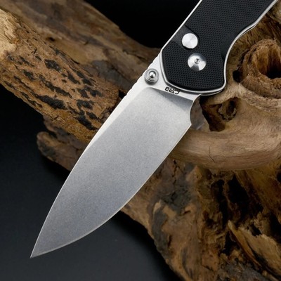 J1925LBK CJRB Large Pyrite G10 AR-RPM9 SW Blade G10 Handles Button Lock IKBS Cli