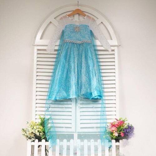 Elsa Frozen Princess Queen Dress Up Set Girls Costume US Fast Shipping