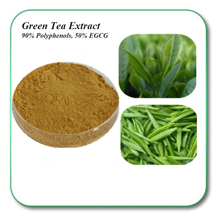 PURE Green Tea Extract Powder 90 Polyphenol 50 EGCG Antiaging