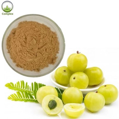 250g Manufacturers Selling Amla Fruit Powder At Wholesale Price