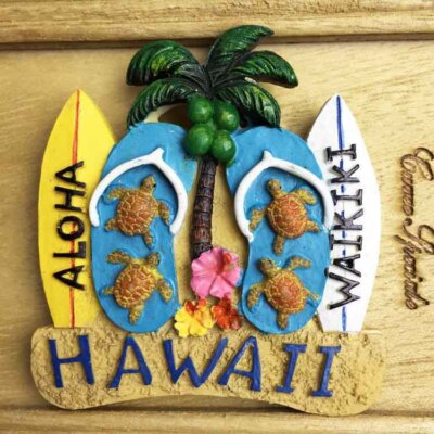 HAWAII Aloha United States Tourism Travel Souvenir 3D Resin Fridge Magnet K1